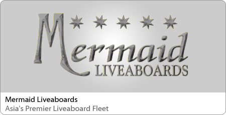 Mermaid Liveaboards